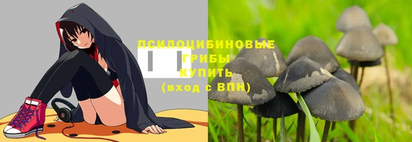 ГАЛЛЮЦИНОГЕННЫЕ ГРИБЫ Киреевск