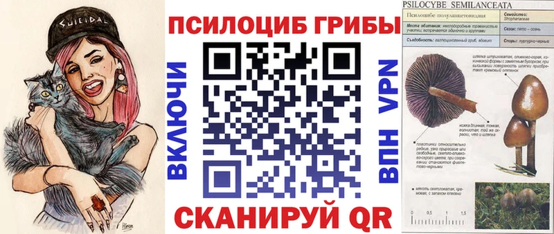 Галлюциногенные грибы MAGIC MUSHROOMS  Купить где  Бабаево 